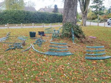 Tree-Bench-Green