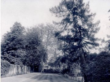 1911-Church-Walk-1