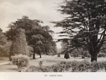 Gardens-C1911b