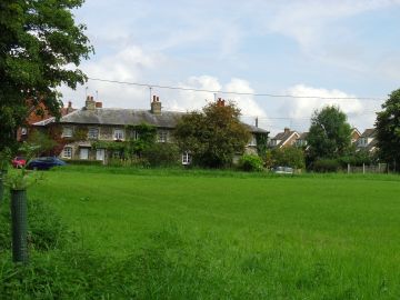 Chicken Meadow