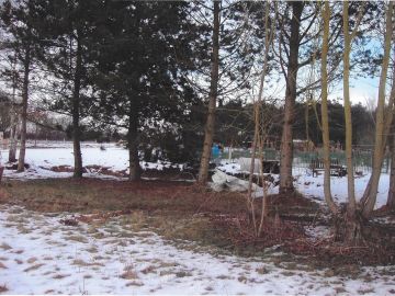 VILLAGE HALL, ALLOTMENTS & ORCHARD