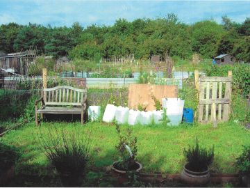 VILLAGE HALL, ALLOTMENTS & ORCHARD