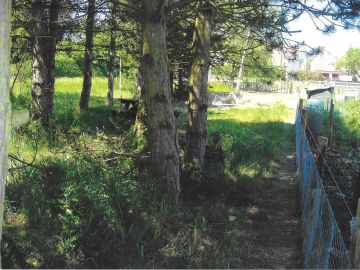 VILLAGE HALL, ALLOTMENTS & ORCHARD