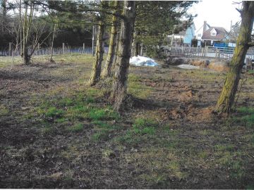 VILLAGE HALL, ALLOTMENTS & ORCHARD