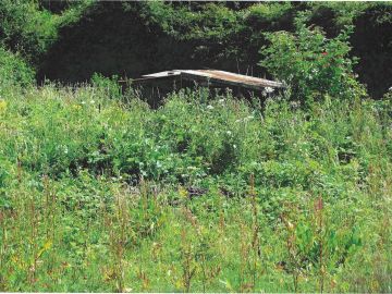 VILLAGE HALL, ALLOTMENTS & ORCHARD