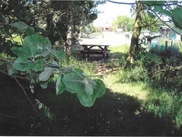 VILLAGE HALL, ALLOTMENTS & ORCHARD